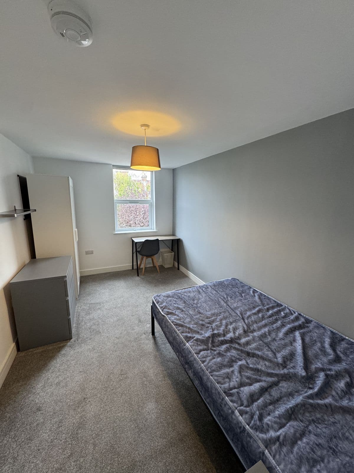8 Norman Road — photo 4