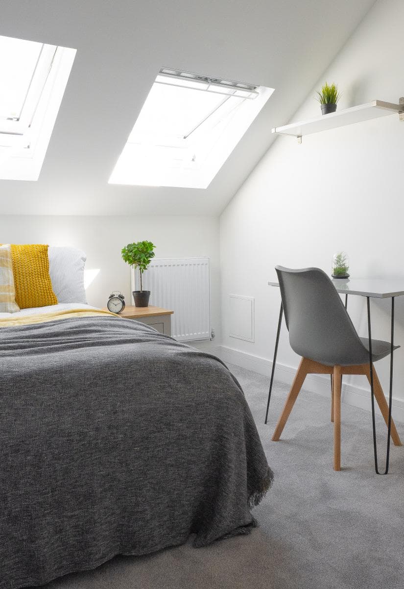 A bright, modern Bunked student bedroom